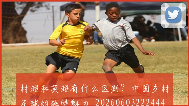 村超和英超有什么区别?中国乡村足球的独特魅力_20260603222444