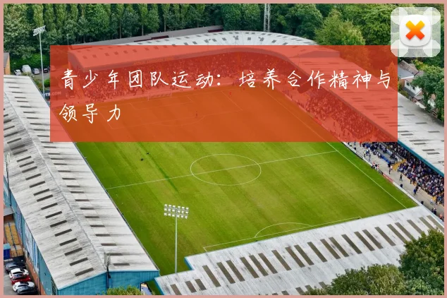 青少年团队运动：培养合作精神与领导力