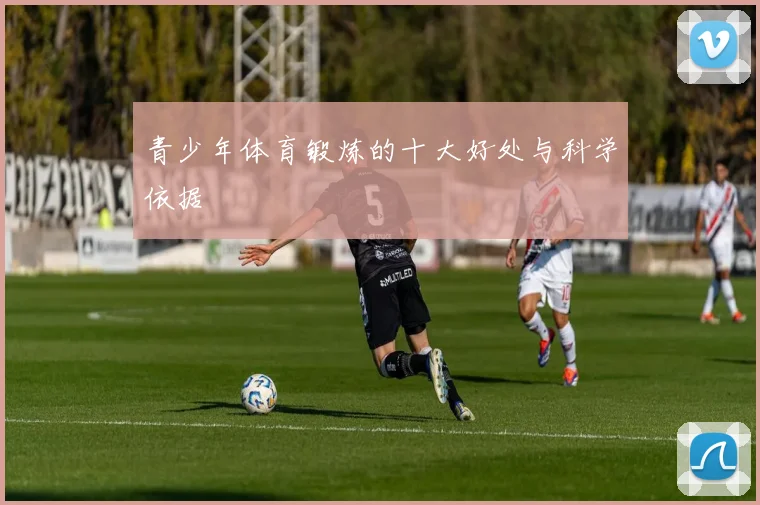 青少年体育锻炼的十大好处与科学依据